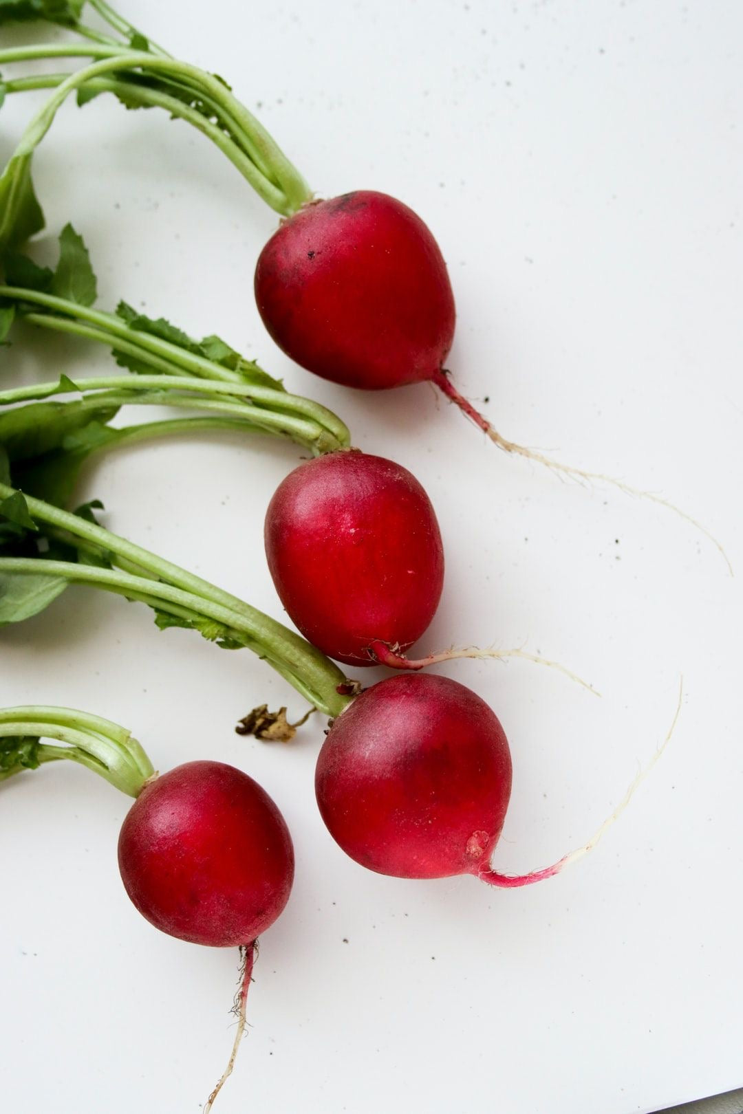 Red Radish