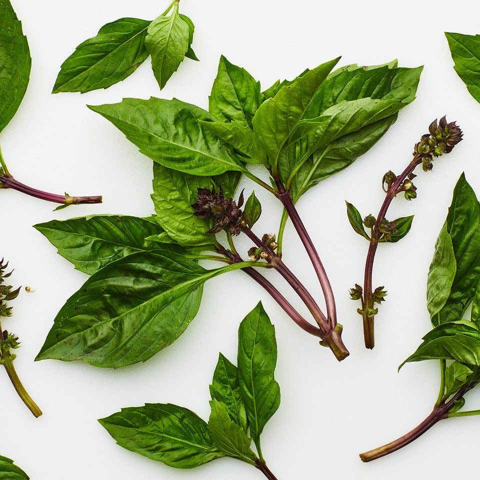 Herb Basil