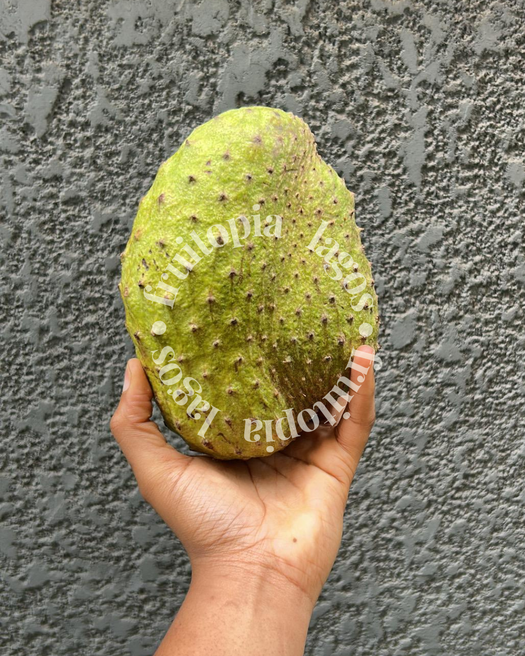 Soursop