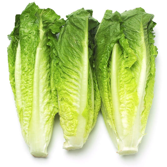 Lettuce Romaine