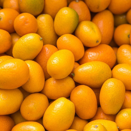 Fresh Kumquats- Exotic Fruit