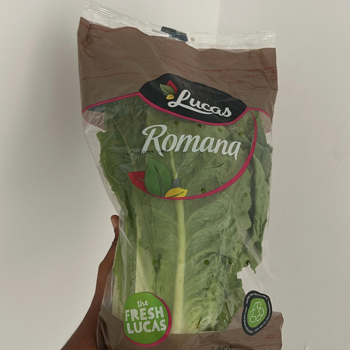 Lettuce Romaine