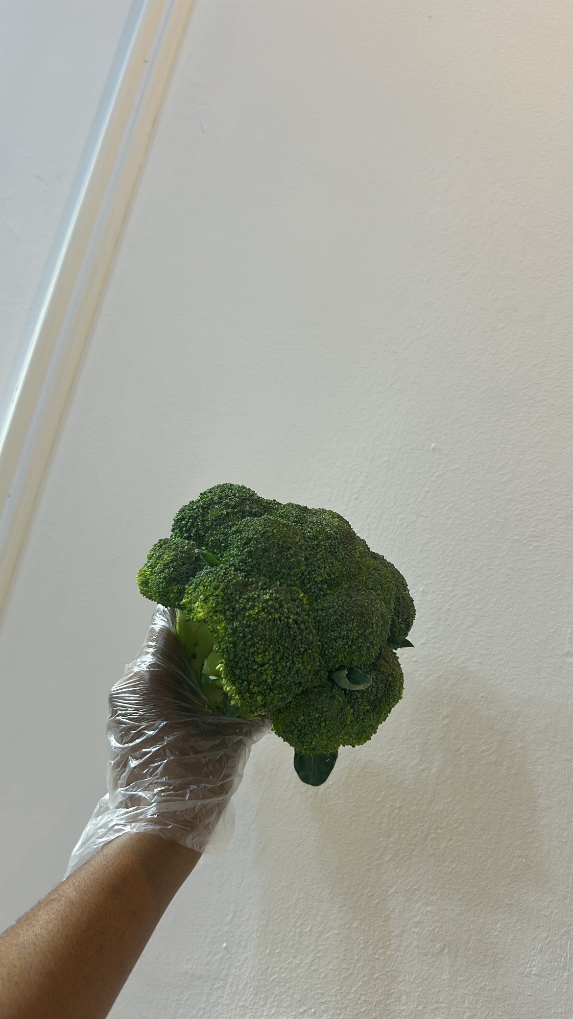 Imported Broccoli