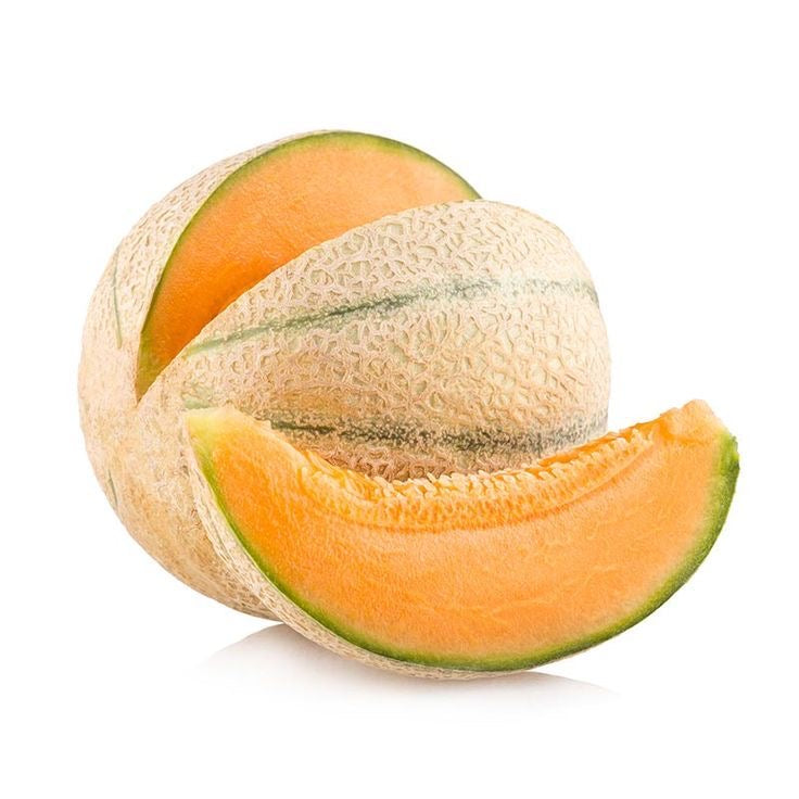 Imported Melon Canteloupe