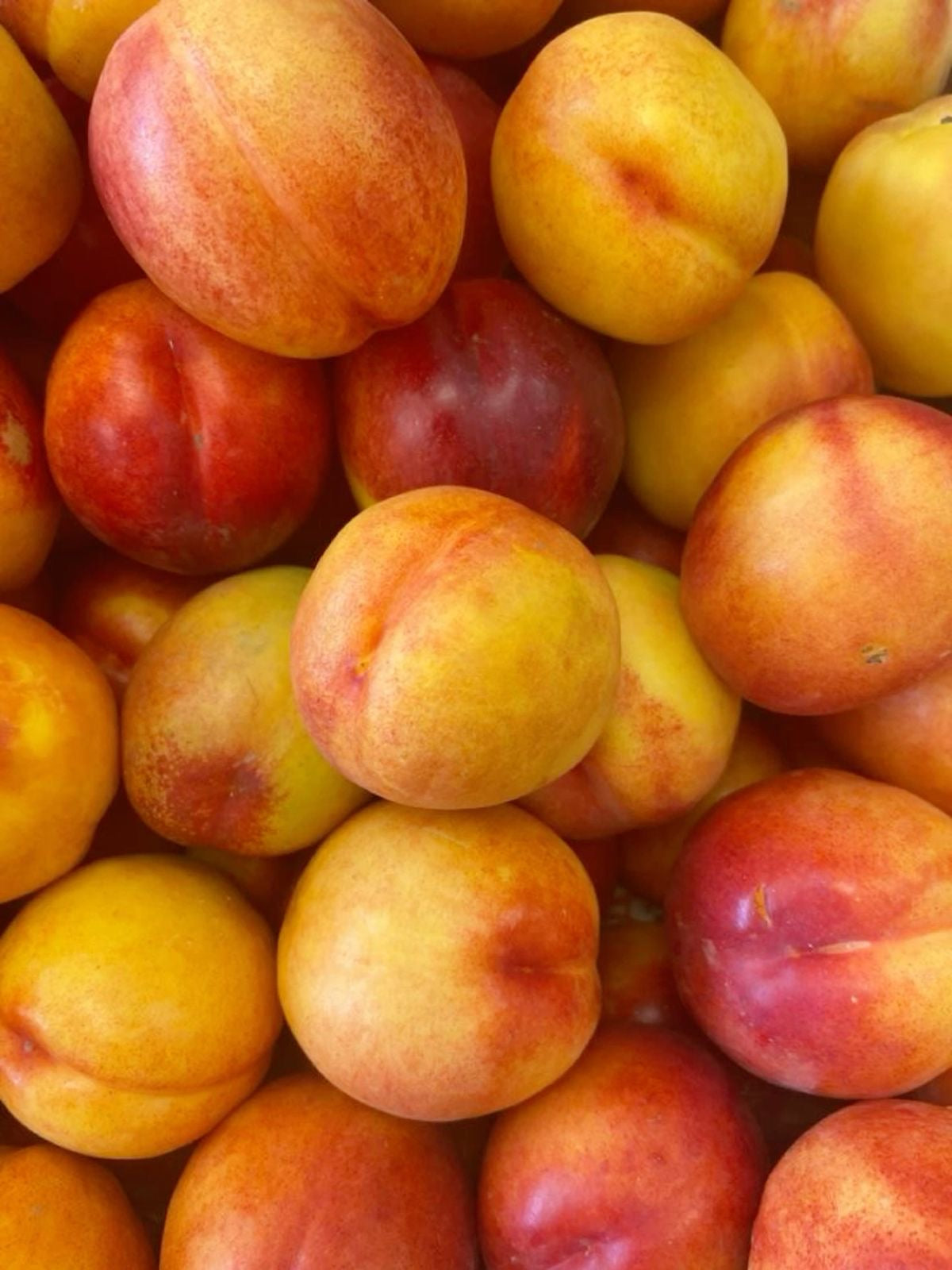 Nectarines